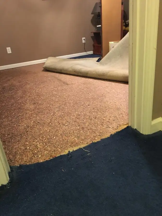 Carpet pad removal revealing water damage during Drying & Dehumidification in Carver