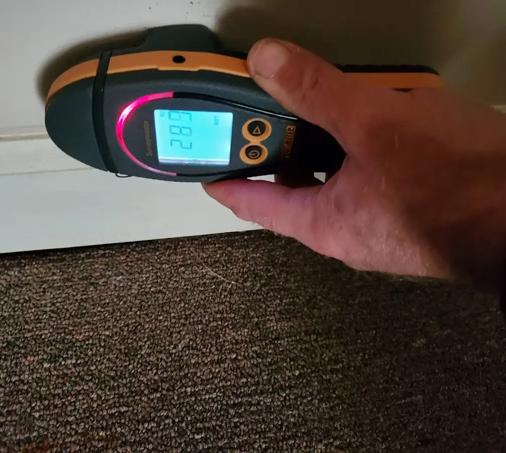 Moisture detection at baseboard during Sewage Cleanup & Sanitation in Carver